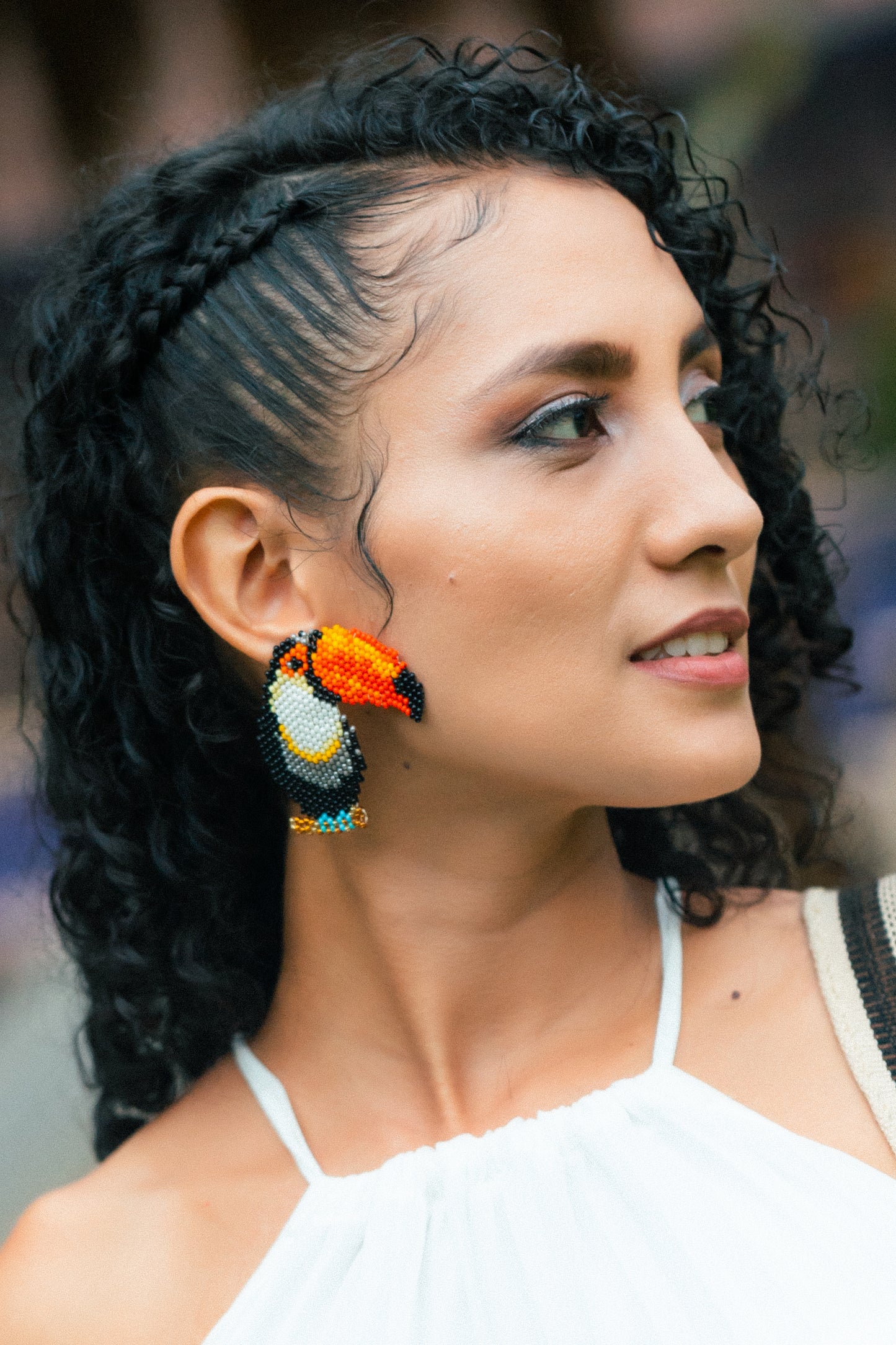 Toucans Earrings